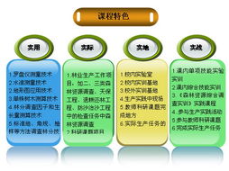 探索森林奧秘，連接數字未來——森林調查技術精品課程網站歡迎您